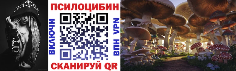Псилоцибиновые грибы Psilocybine cubensis  OMG зеркало  Мамадыш 